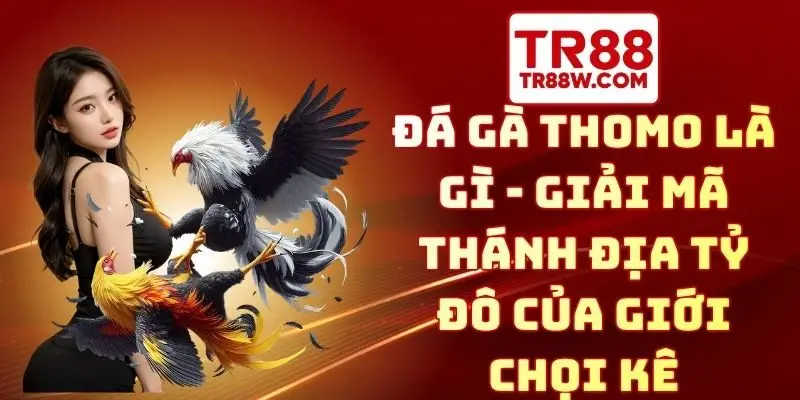 đá gà Thomo là gì